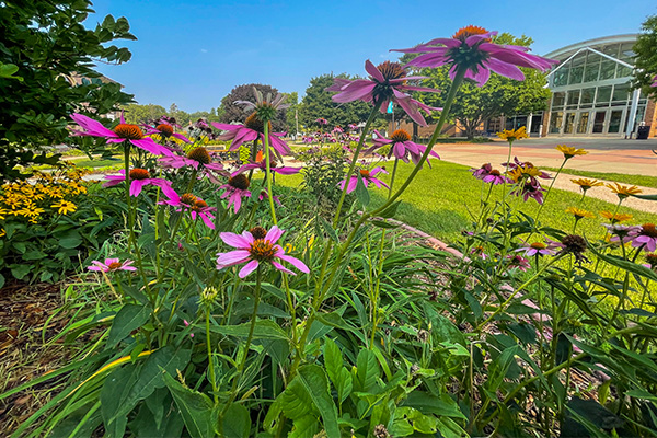 The DSU science center on a sunny summer day with flowers framing the shot.